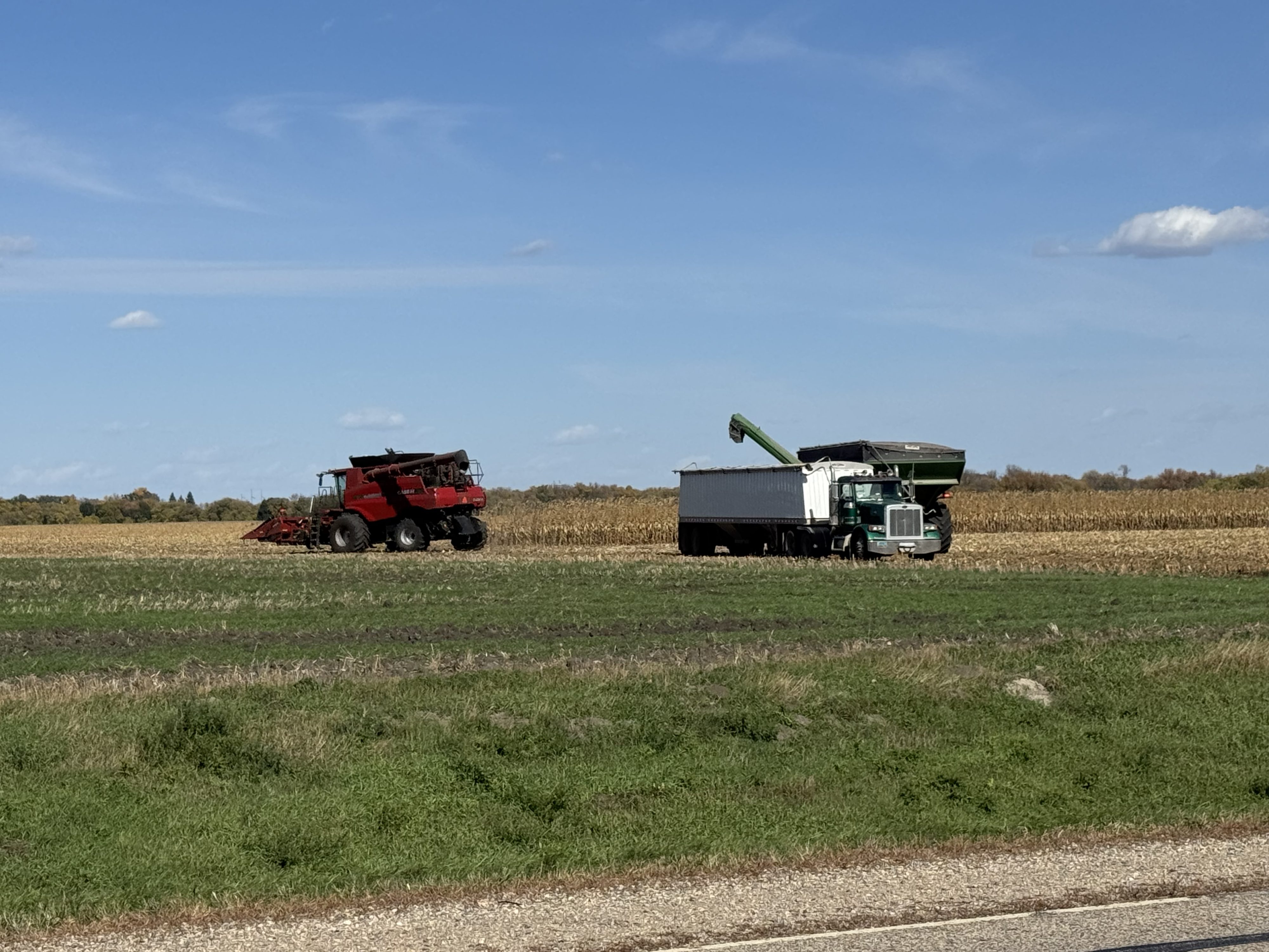 USDA announces record 2025 crop year safety net program payments — KFGO, Hillsboro Community news